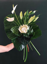 Botanical