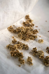 Fynbos Eye Pillow